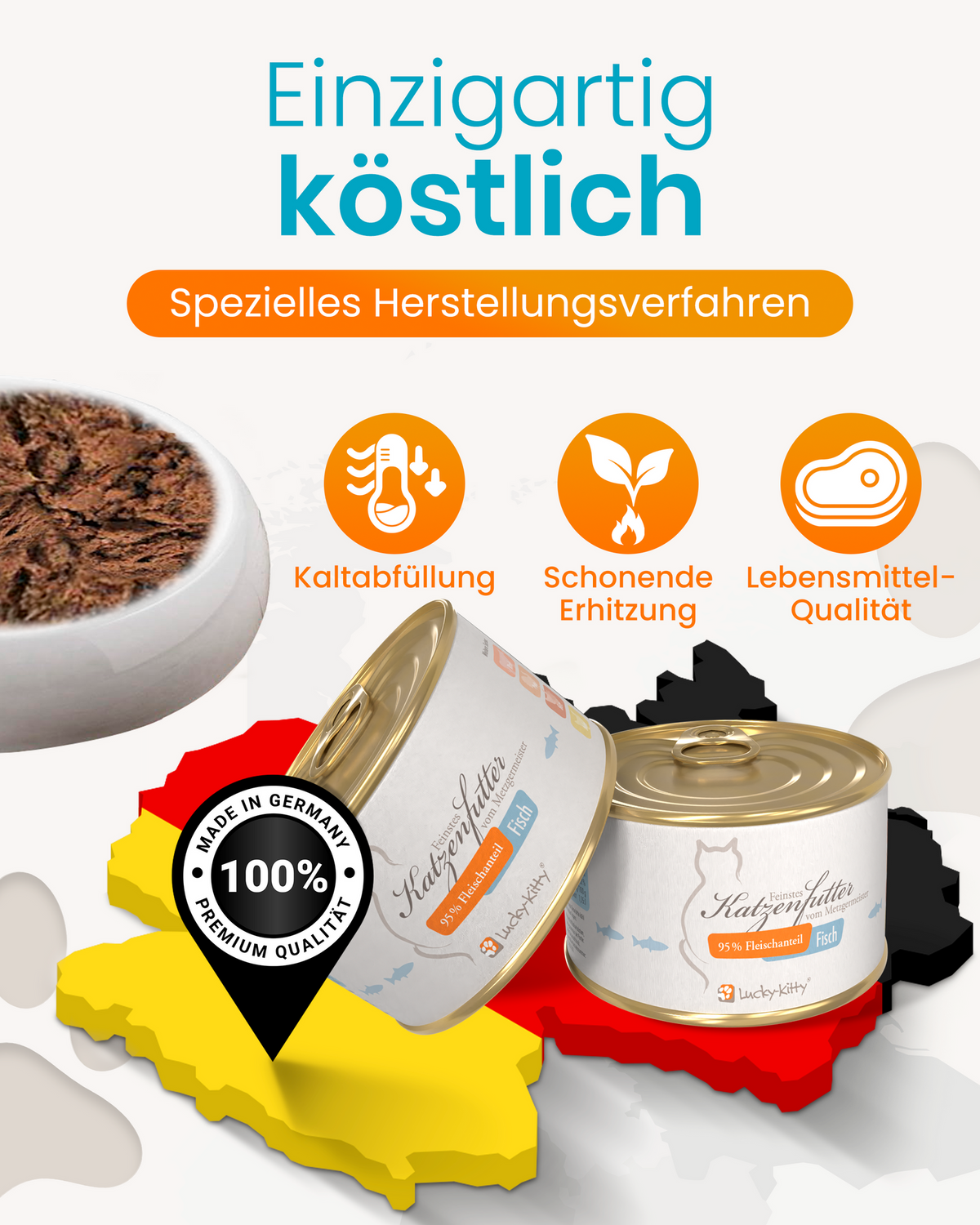 Cat Food Fish Premium Quality