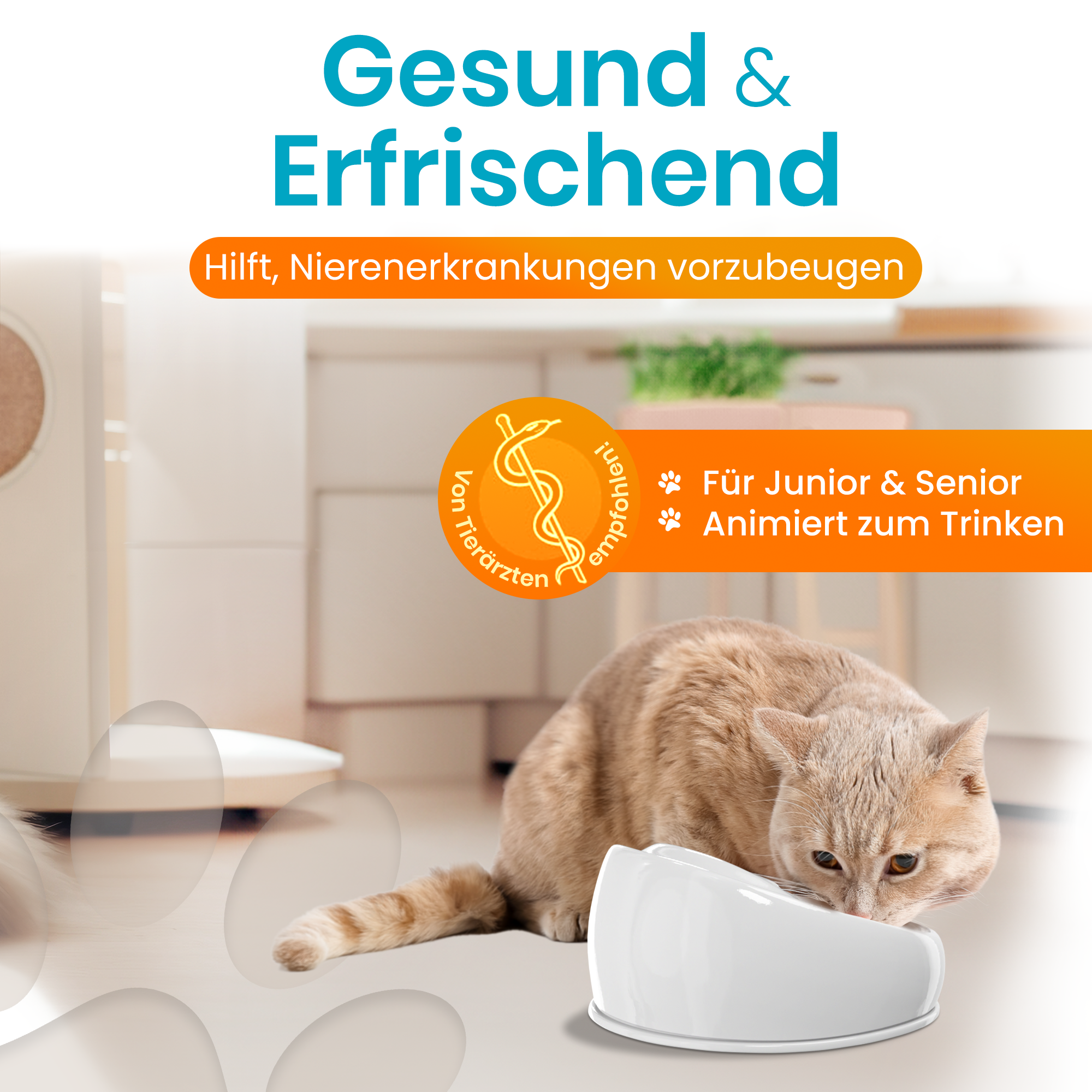 Cat Fountain Ceramic (White)