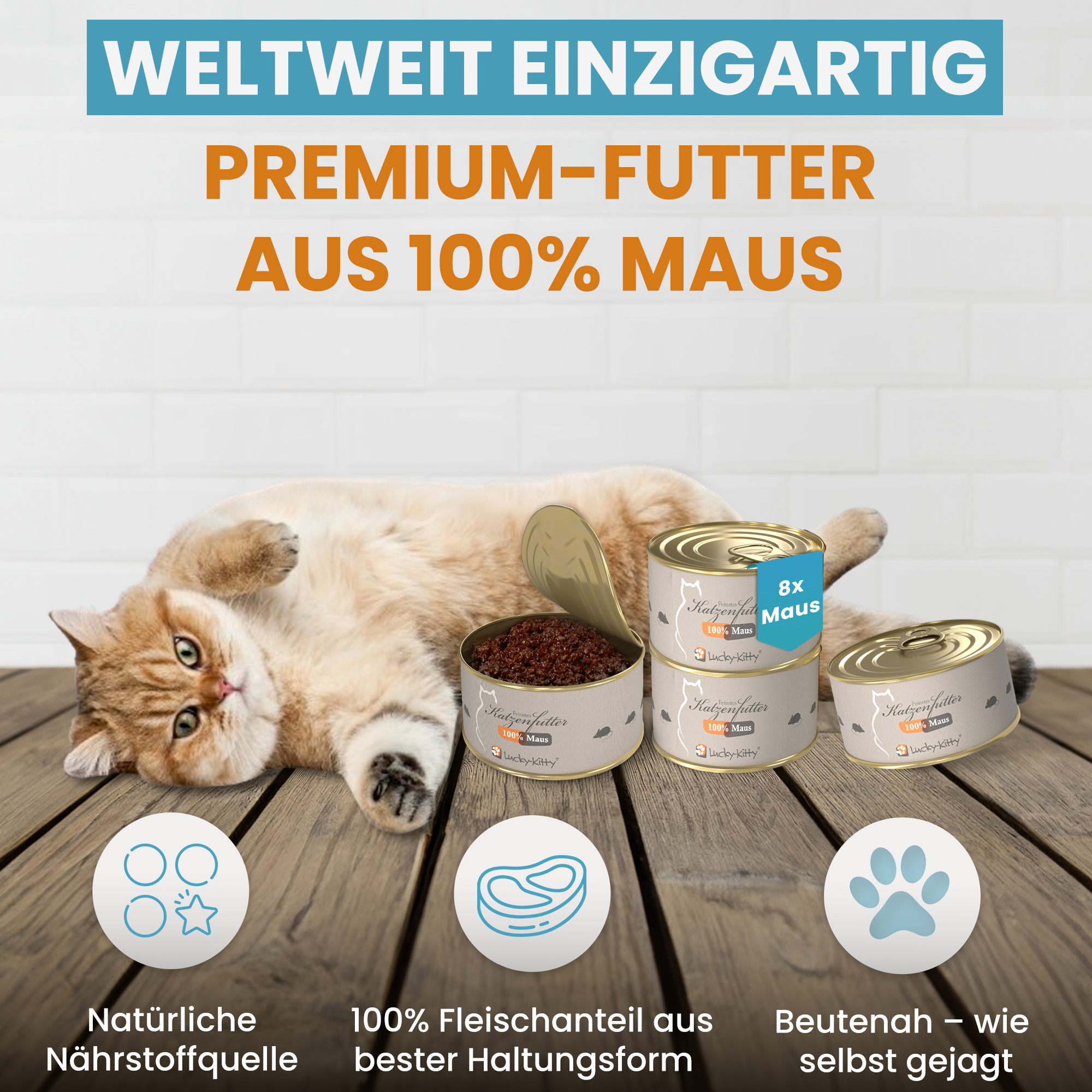 Euer Lieblingsfutter (20x Huhn + 20x Pute + 8x Maus)