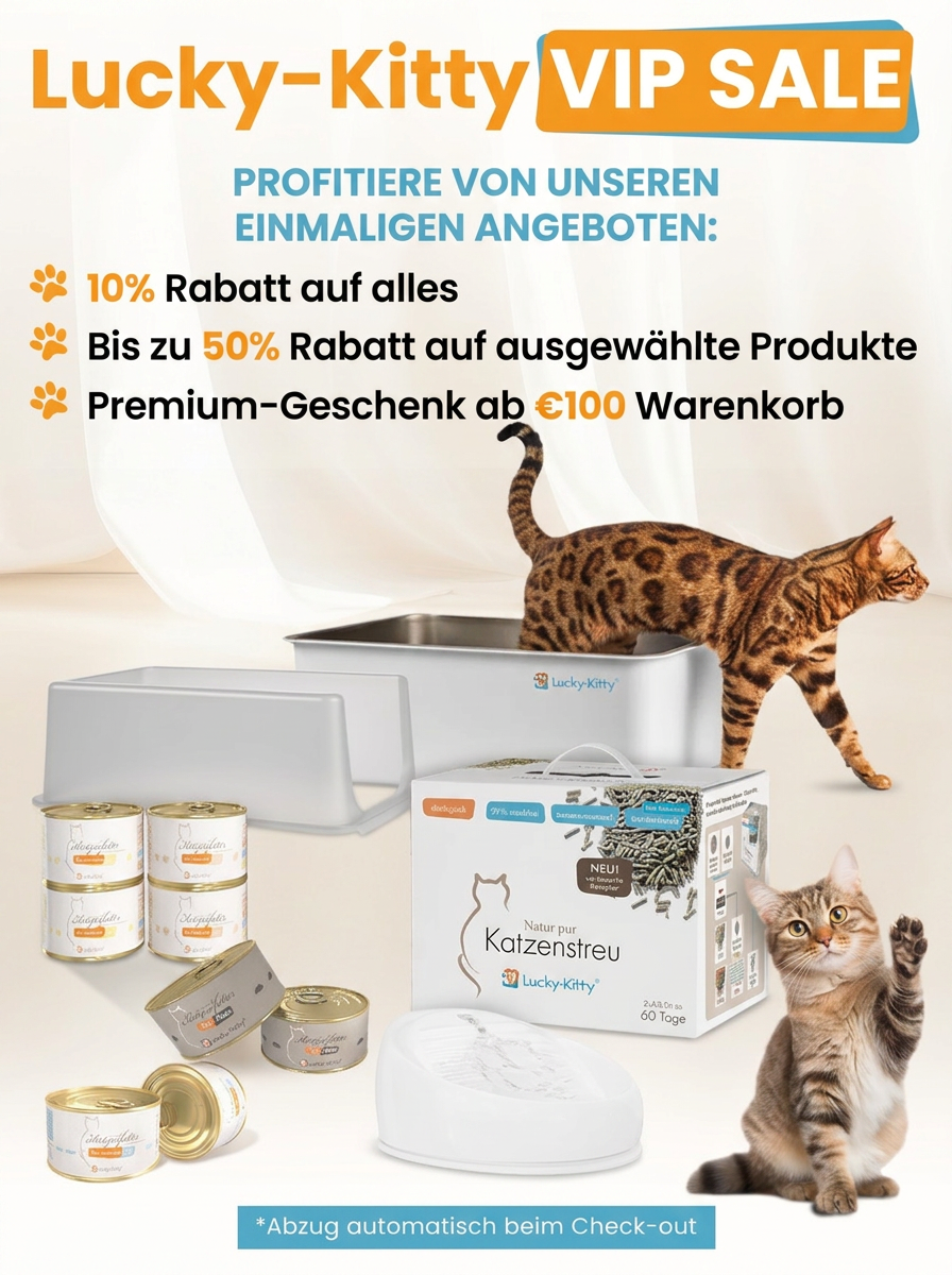 Lucky-Kitty VIP Sale