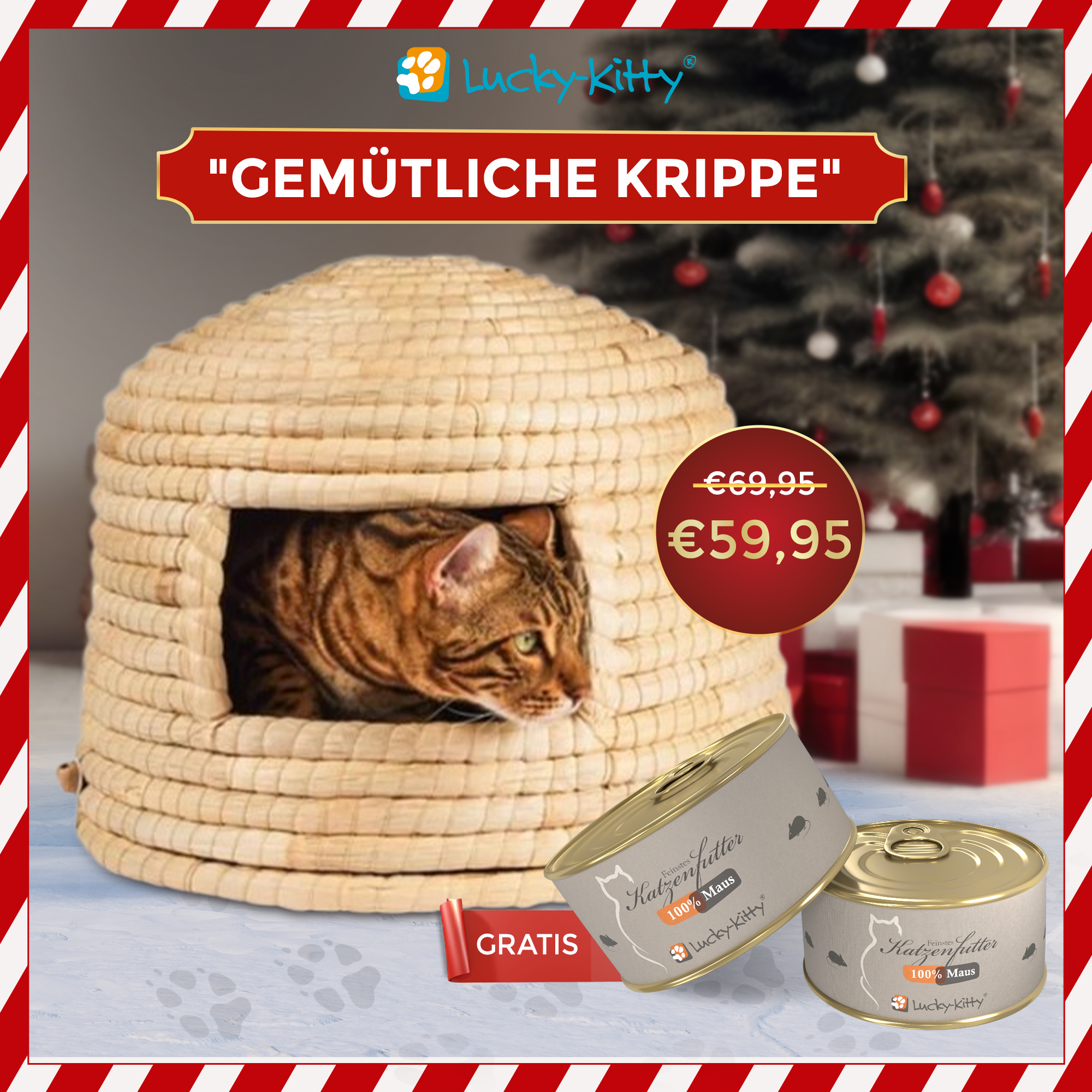 Geschenkset "Gemütliche Krippe"